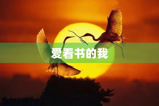 爱看书的我 爱看书的我