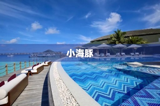 小海豚