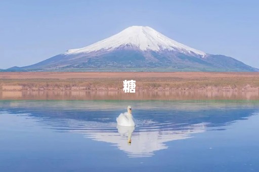 糖 糖