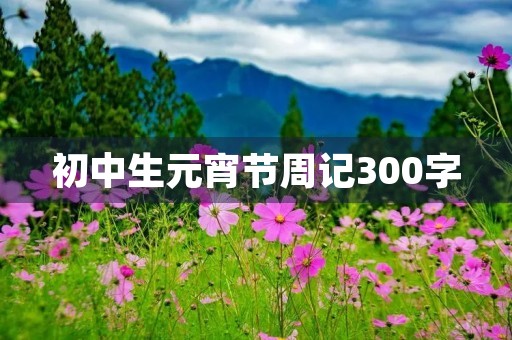 初中生元宵节周记300字