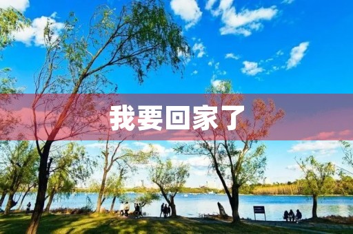 我要回家了 我要回家了