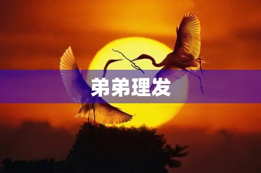 弟弟理发 弟弟理发