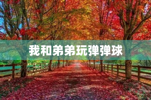 我和弟弟玩弹弹球 我和弟弟玩弹弹球