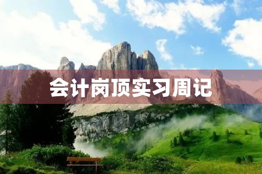 会计岗顶实习周记 会计岗顶实习周记