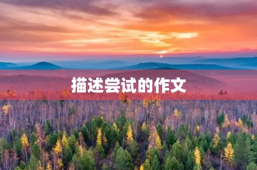 描述尝试的作文 描述尝试的作文