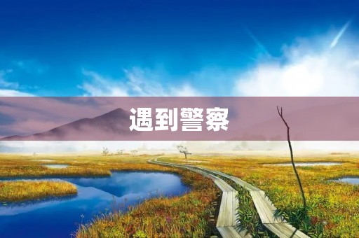遇到警察 遇到警察