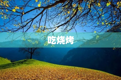 吃烧烤 吃烧烤