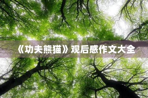 《功夫熊猫》观后感作文大全