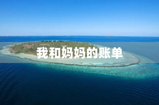 我和妈妈的账单