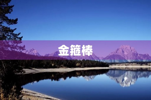 金箍棒