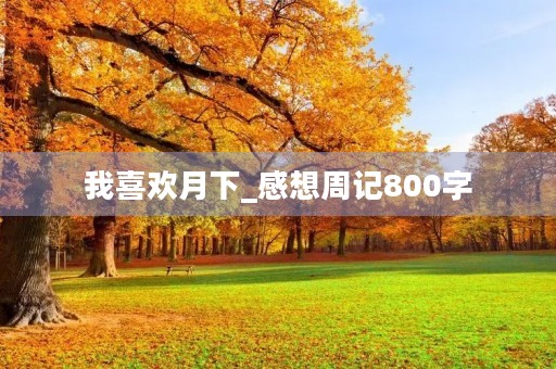我喜欢月下_感想周记800字
