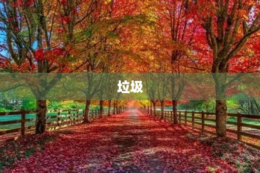 垃圾