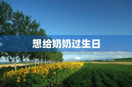 想给奶奶过生日 想给奶奶过生日