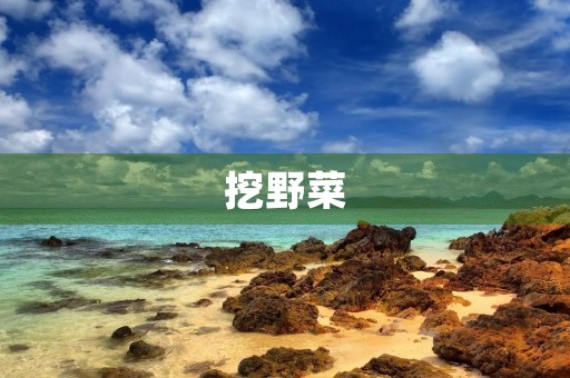 挖野菜 挖野菜