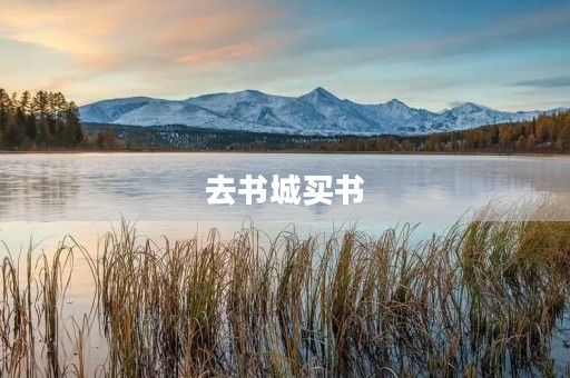 去书城买书 去书城买书