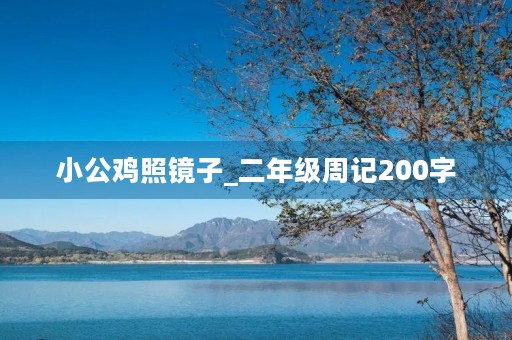 小公鸡照镜子_二年级周记200字 小公鸡照镜子_二年级周记200字