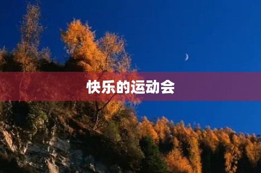 快乐的运动会 快乐的运动会