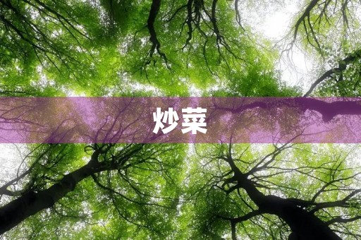 炒菜