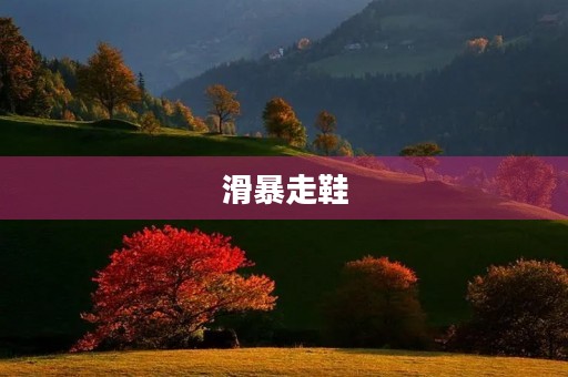 滑暴走鞋