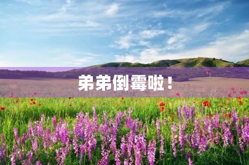弟弟倒霉啦！
