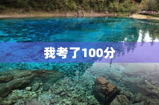 我考了100分 我考了100分