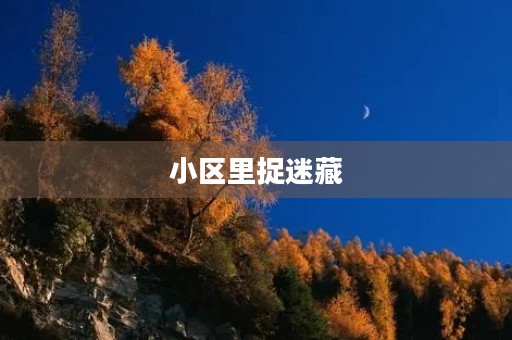 小区里捉迷藏 小区里捉迷藏
