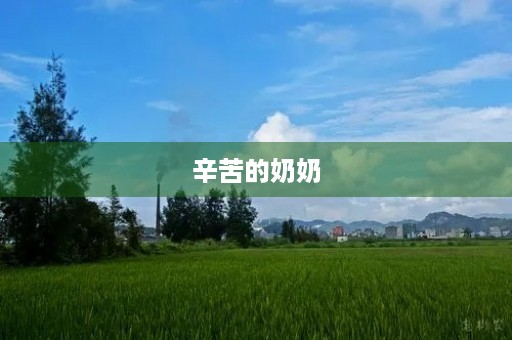 辛苦的奶奶