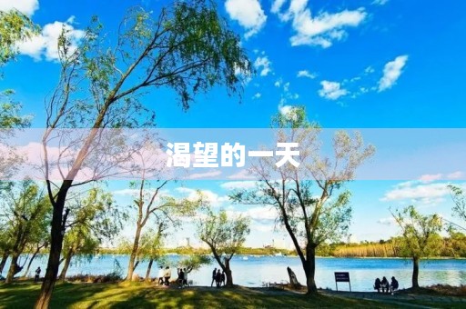 渴望的一天
