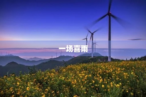 一场喜雨