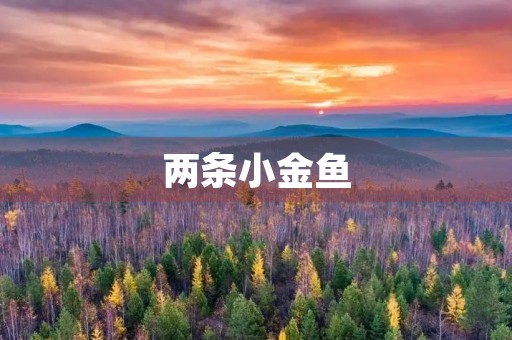 两条小金鱼