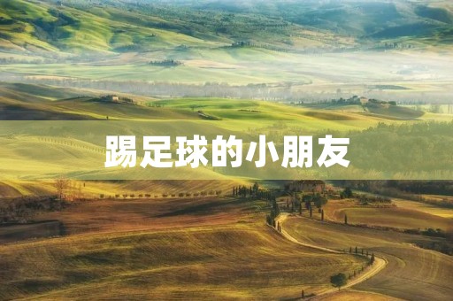 踢足球的小朋友 踢足球的小朋友