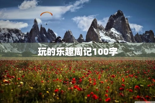 玩的乐趣周记100字 玩的乐趣周记100字