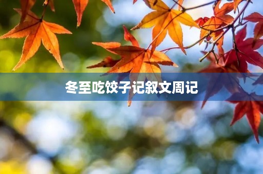 冬至吃饺子记叙文周记