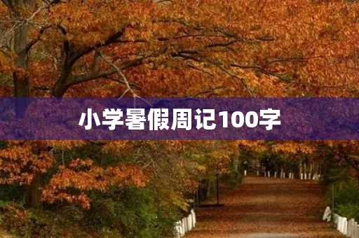 小学暑假周记100字 小学暑假周记100字