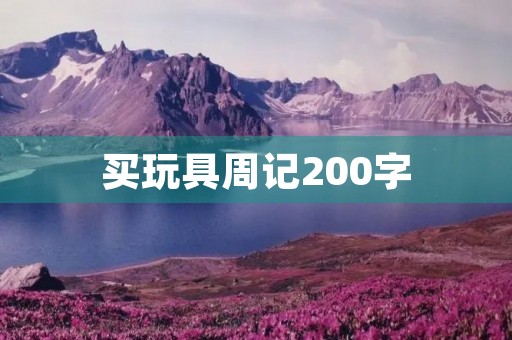 买玩具周记200字 买玩具周记200字