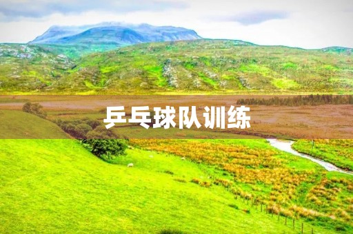 乒乓球队训练