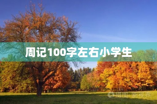 周记100字左右小学生