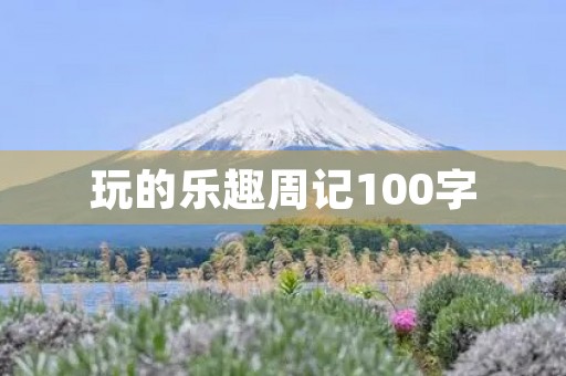 玩的乐趣周记100字 玩的乐趣周记100字