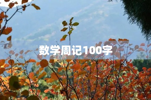 数学周记100字