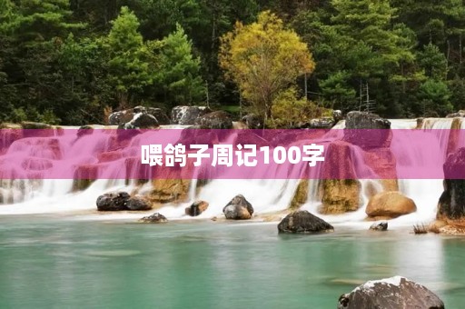 喂鸽子周记100字 喂鸽子周记100字