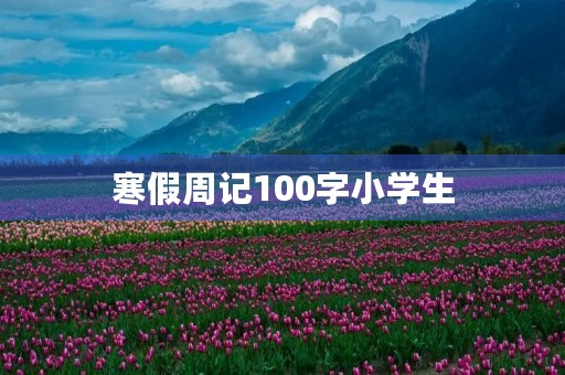 寒假周记100字小学生 寒假周记100字小学生