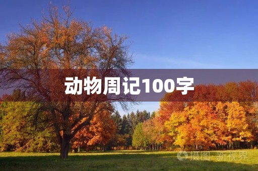 动物周记100字