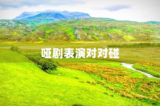 哑剧表演对对碰