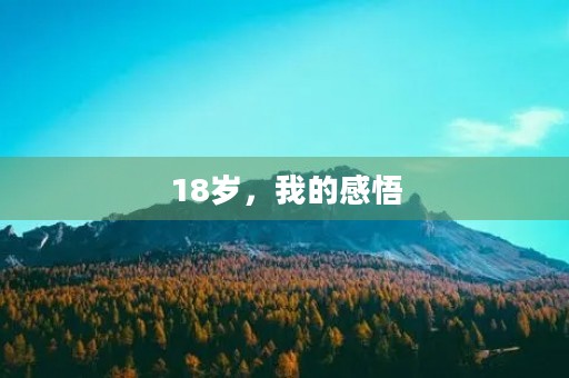 18岁,我的感悟 18岁,我的感悟
