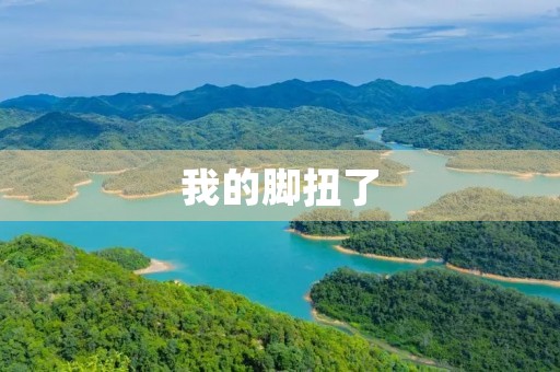 我的脚扭了
