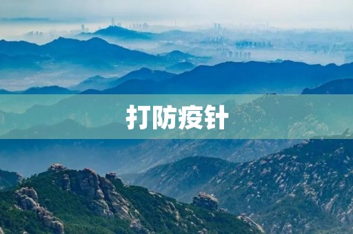 打防疫针 打防疫针
