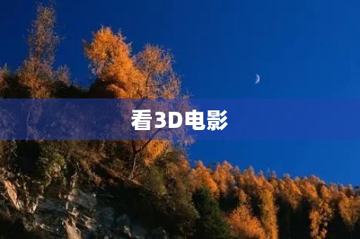 看3D电影