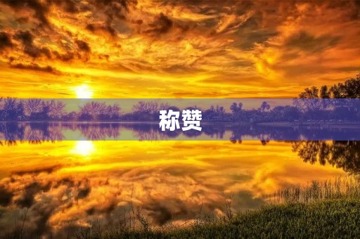 称赞