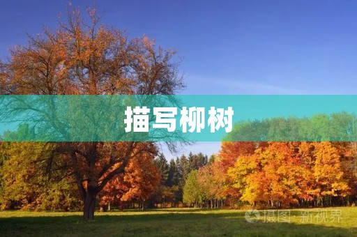 描写柳树 描写柳树