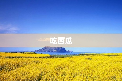 吃西瓜 吃西瓜